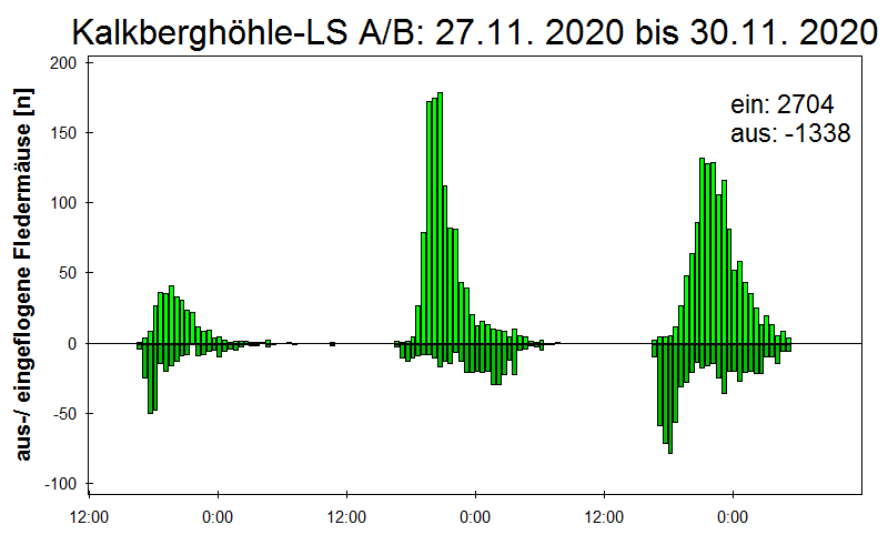 [Fledermaus] Lichtschranke: Segeberger Kalkberg (NABU Schleswig-Holstein)