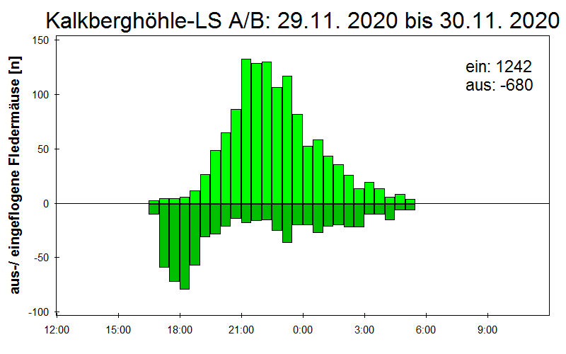 [Fledermaus] Lichtschranke: Segeberger Kalkberg (NABU Schleswig-Holstein)