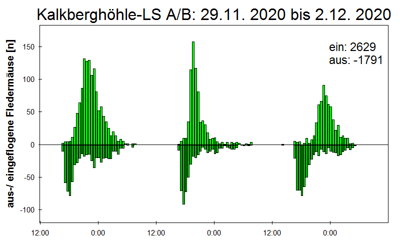 [Fledermaus] Lichtschranke: Segeberger Kalkberg (NABU Schleswig-Holstein)