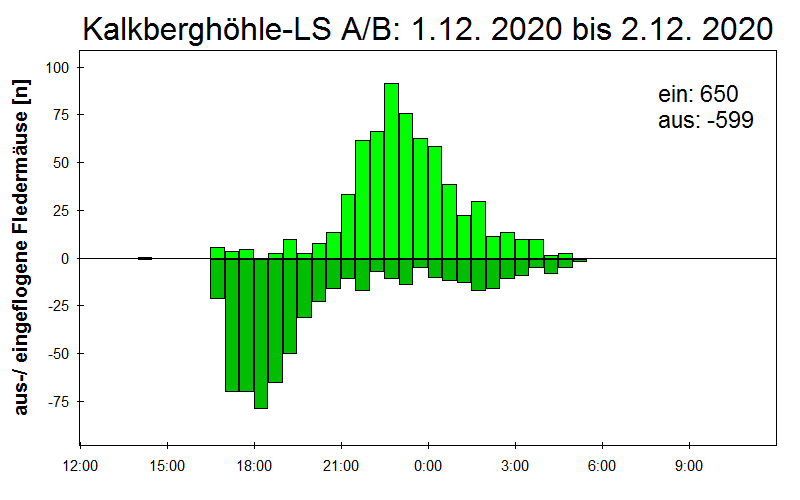 [Fledermaus] Lichtschranke: Segeberger Kalkberg (NABU Schleswig-Holstein)