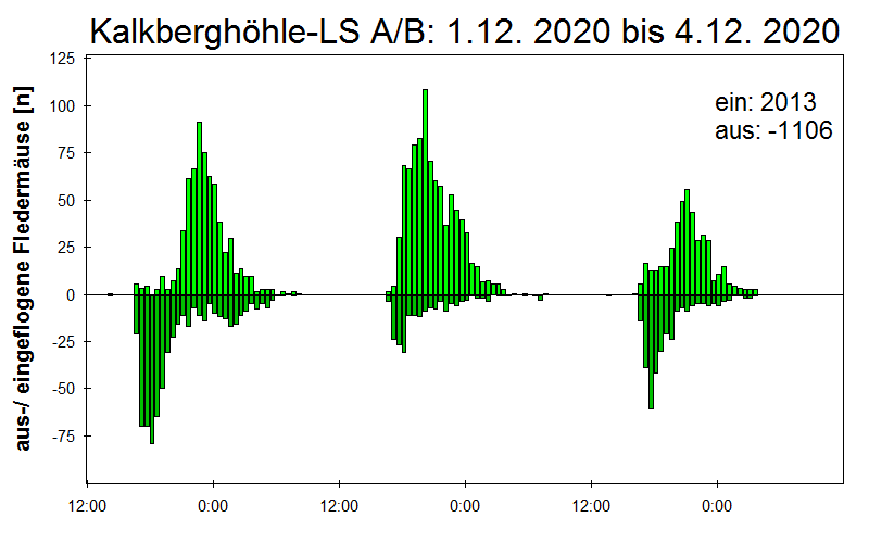 [Fledermaus] Lichtschranke: Segeberger Kalkberg (NABU Schleswig-Holstein)