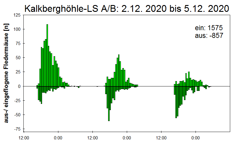 [Fledermaus] Lichtschranke: Segeberger Kalkberg (NABU Schleswig-Holstein)