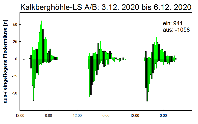 [Fledermaus] Lichtschranke: Segeberger Kalkberg (NABU Schleswig-Holstein)