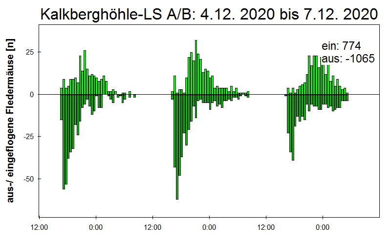 [Fledermaus] Lichtschranke: Segeberger Kalkberg (NABU Schleswig-Holstein)