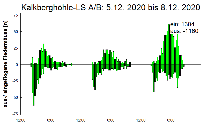 [Fledermaus] Lichtschranke: Segeberger Kalkberg (NABU Schleswig-Holstein)