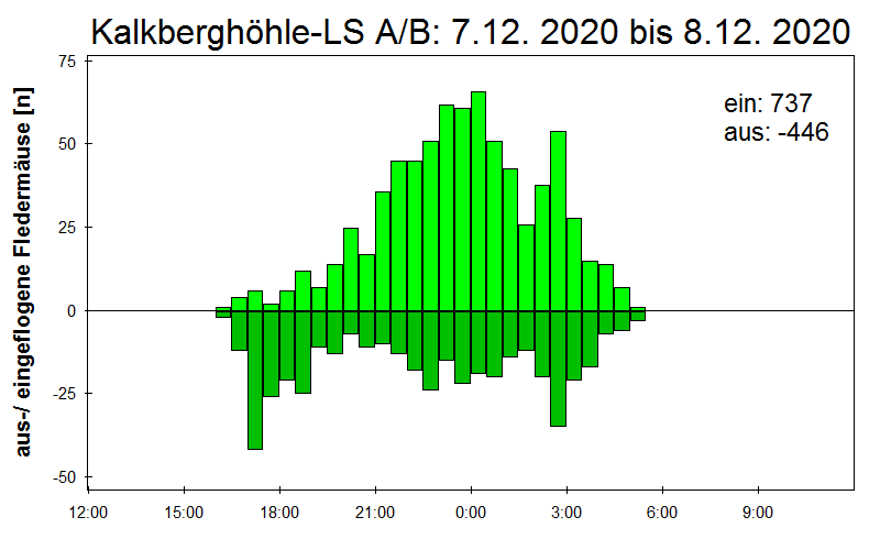 [Fledermaus] Lichtschranke: Segeberger Kalkberg (NABU Schleswig-Holstein)