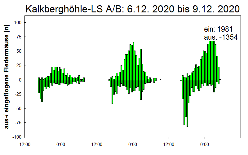 [Fledermaus] Lichtschranke: Segeberger Kalkberg (NABU Schleswig-Holstein)