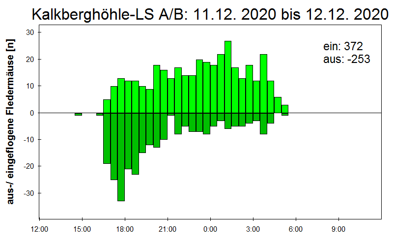 [Fledermaus] Lichtschranke: Segeberger Kalkberg (NABU Schleswig-Holstein)