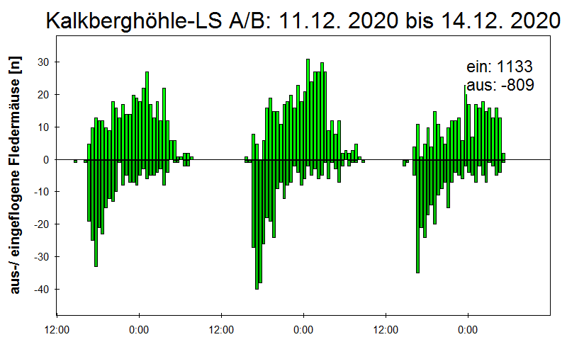 [Fledermaus] Lichtschranke: Segeberger Kalkberg (NABU Schleswig-Holstein)