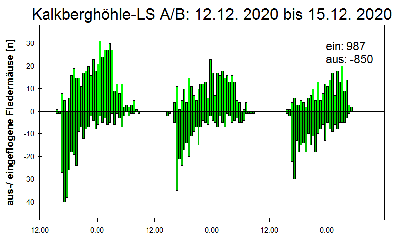 [Fledermaus] Lichtschranke: Segeberger Kalkberg (NABU Schleswig-Holstein)