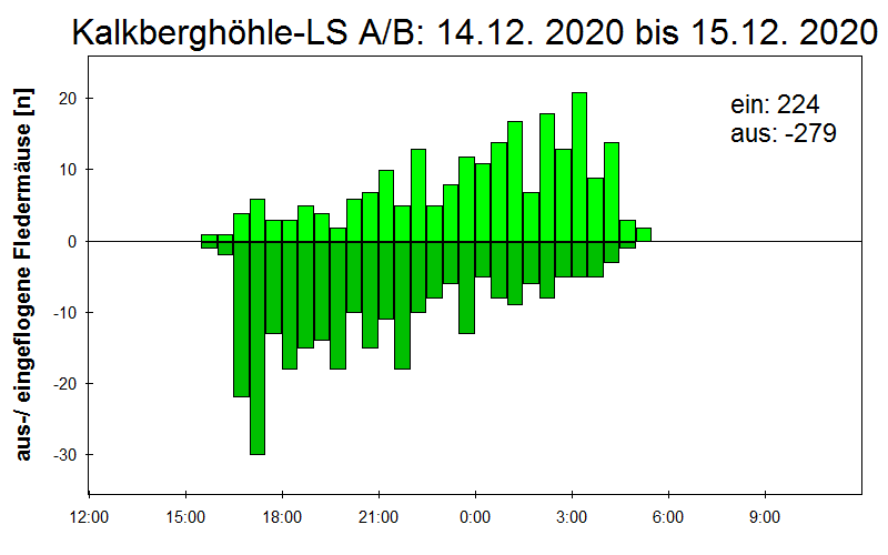 [Fledermaus] Lichtschranke: Segeberger Kalkberg (NABU Schleswig-Holstein)