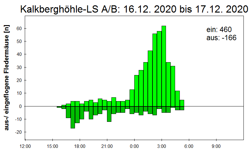 [Fledermaus] Lichtschranke: Segeberger Kalkberg (NABU Schleswig-Holstein)