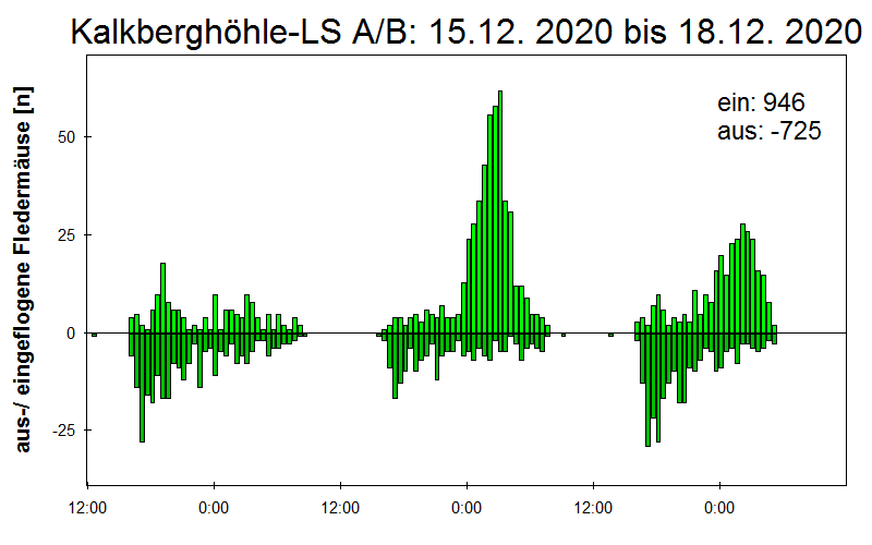 [Fledermaus] Lichtschranke: Segeberger Kalkberg (NABU Schleswig-Holstein)