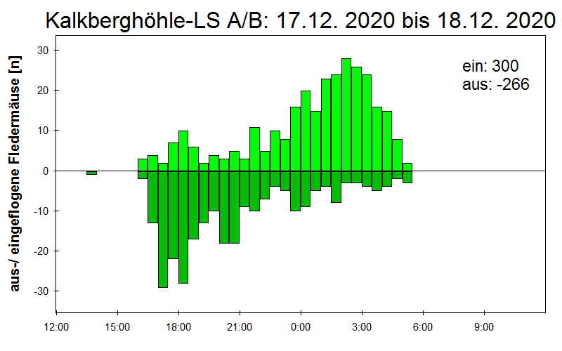 [Fledermaus] Lichtschranke: Segeberger Kalkberg (NABU Schleswig-Holstein)