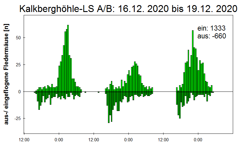 [Fledermaus] Lichtschranke: Segeberger Kalkberg (NABU Schleswig-Holstein)