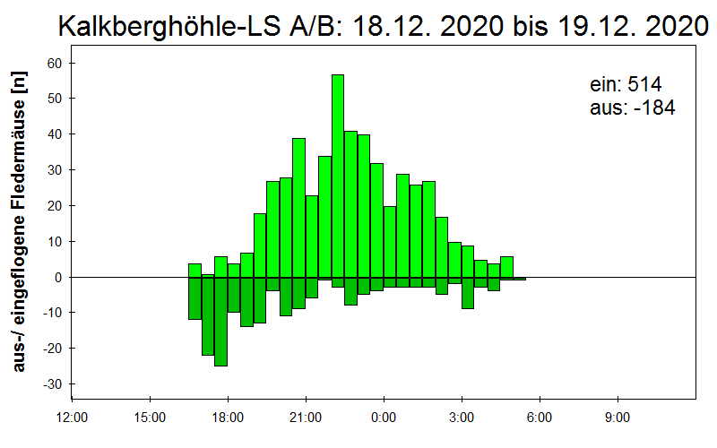 [Fledermaus] Lichtschranke: Segeberger Kalkberg (NABU Schleswig-Holstein)