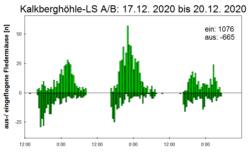 [Fledermaus] Lichtschranke: Segeberger Kalkberg (NABU Schleswig-Holstein)
