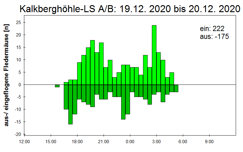 [Fledermaus] Lichtschranke: Segeberger Kalkberg (NABU Schleswig-Holstein)