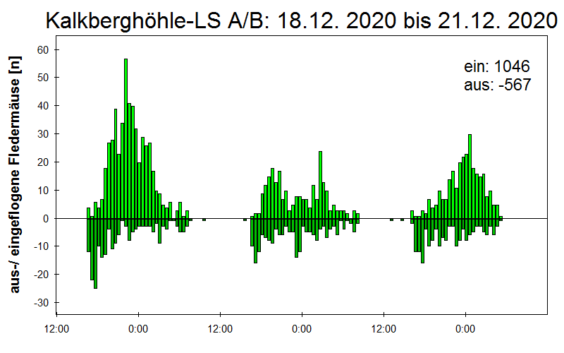 [Fledermaus] Lichtschranke: Segeberger Kalkberg (NABU Schleswig-Holstein)