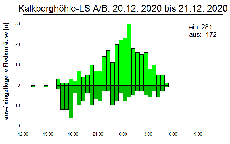 [Fledermaus] Lichtschranke: Segeberger Kalkberg (NABU Schleswig-Holstein)