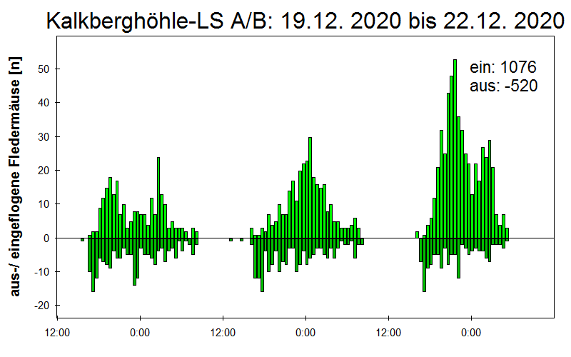 [Fledermaus] Lichtschranke: Segeberger Kalkberg (NABU Schleswig-Holstein)