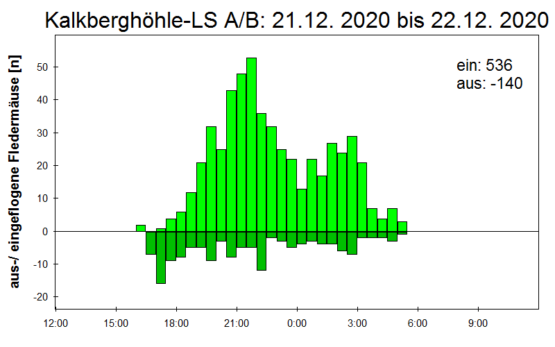 [Fledermaus] Lichtschranke: Segeberger Kalkberg (NABU Schleswig-Holstein)