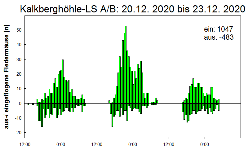[Fledermaus] Lichtschranke: Segeberger Kalkberg (NABU Schleswig-Holstein)