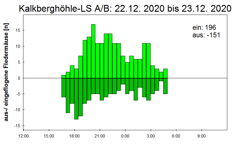 [Fledermaus] Lichtschranke: Segeberger Kalkberg (NABU Schleswig-Holstein)