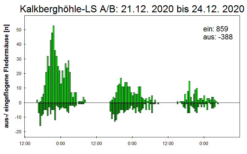 [Fledermaus] Lichtschranke: Segeberger Kalkberg (NABU Schleswig-Holstein)