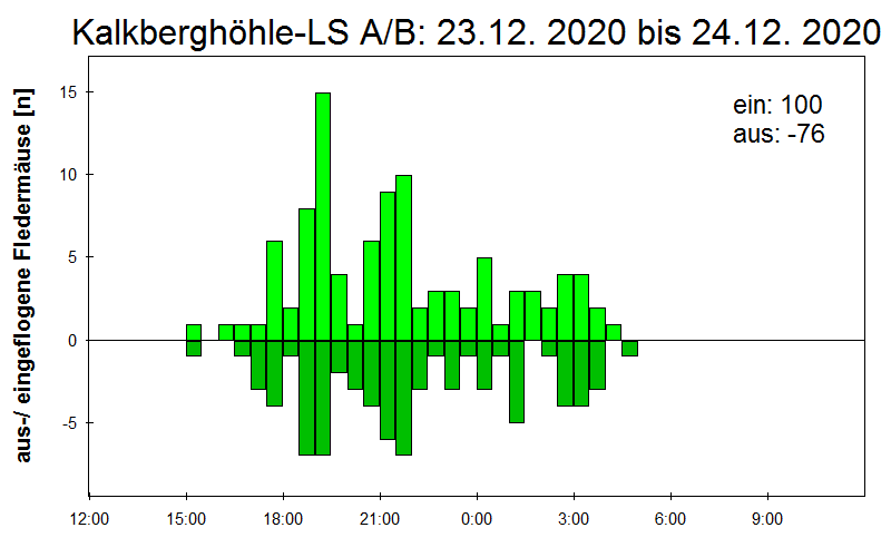 [Fledermaus] Lichtschranke: Segeberger Kalkberg (NABU Schleswig-Holstein)