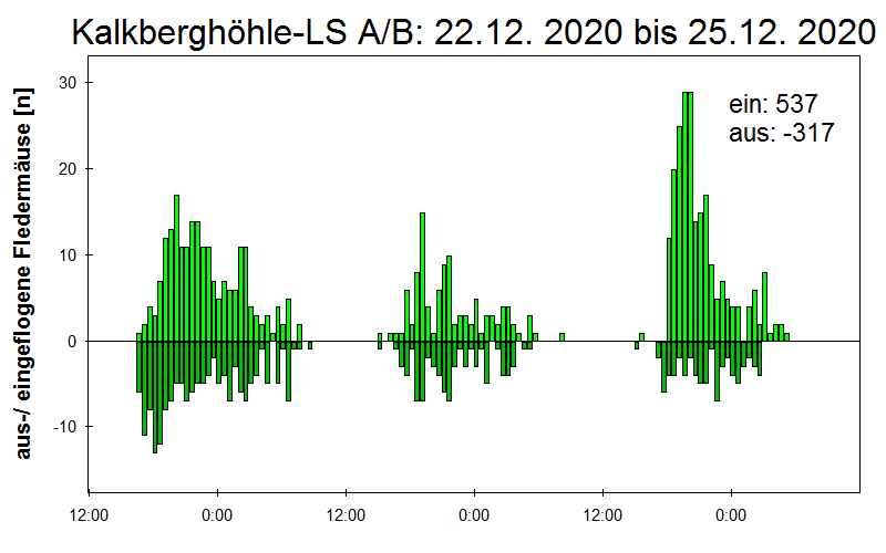 [Fledermaus] Lichtschranke: Segeberger Kalkberg (NABU Schleswig-Holstein)