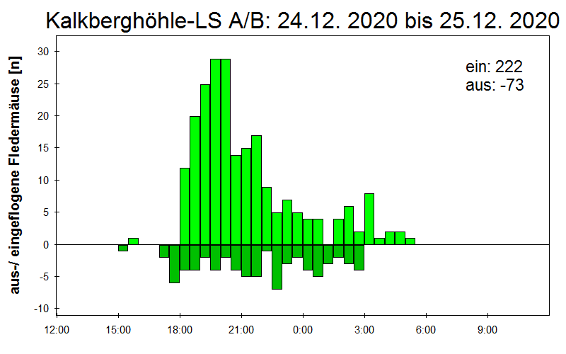 [Fledermaus] Lichtschranke: Segeberger Kalkberg (NABU Schleswig-Holstein)