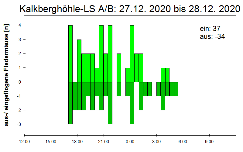 [Fledermaus] Lichtschranke: Segeberger Kalkberg (NABU Schleswig-Holstein)