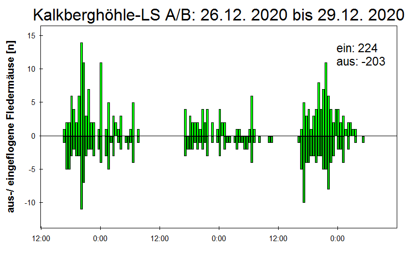 [Fledermaus] Lichtschranke: Segeberger Kalkberg (NABU Schleswig-Holstein)
