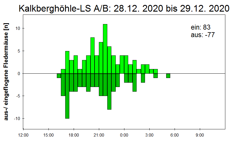 [Fledermaus] Lichtschranke: Segeberger Kalkberg (NABU Schleswig-Holstein)