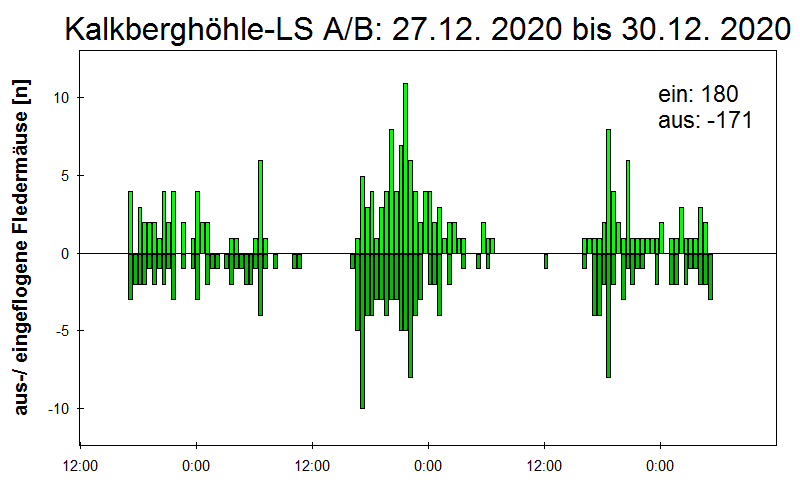 [Fledermaus] Lichtschranke: Segeberger Kalkberg (NABU Schleswig-Holstein)