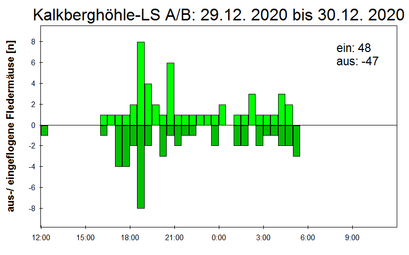 [Fledermaus] Lichtschranke: Segeberger Kalkberg (NABU Schleswig-Holstein)