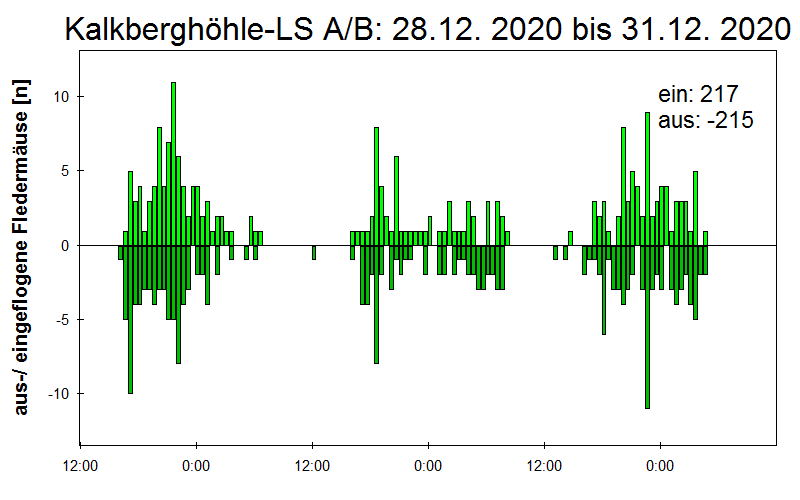 [Fledermaus] Lichtschranke: Segeberger Kalkberg (NABU Schleswig-Holstein)
