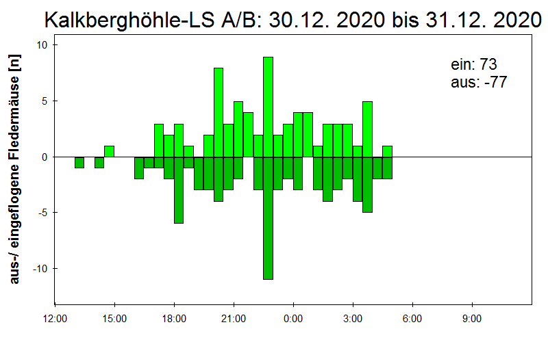 [Fledermaus] Lichtschranke: Segeberger Kalkberg (NABU Schleswig-Holstein)