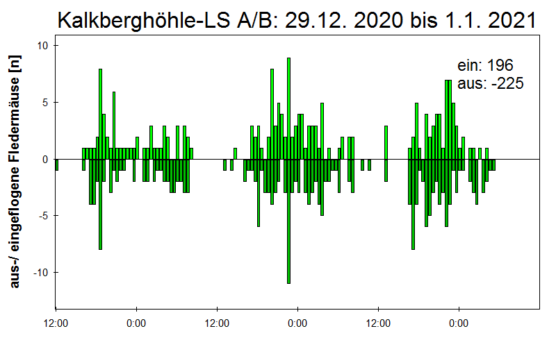 [Fledermaus] Lichtschranke: Segeberger Kalkberg (NABU Schleswig-Holstein)