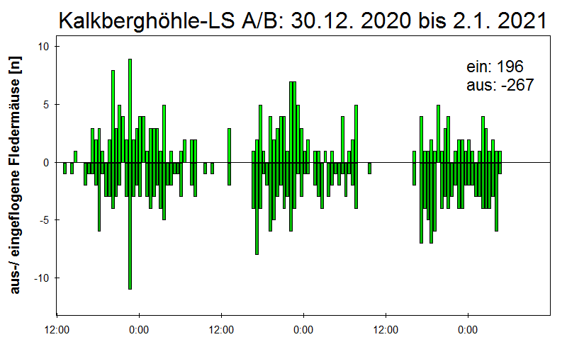 [Fledermaus] Lichtschranke: Segeberger Kalkberg (NABU Schleswig-Holstein)