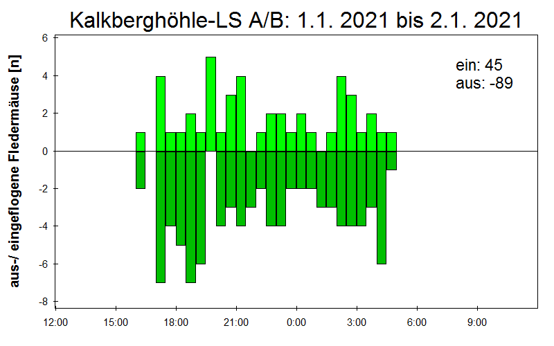 [Fledermaus] Lichtschranke: Segeberger Kalkberg (NABU Schleswig-Holstein)