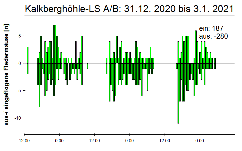 [Fledermaus] Lichtschranke: Segeberger Kalkberg (NABU Schleswig-Holstein)