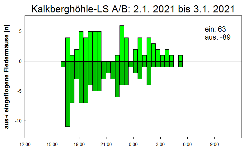 [Fledermaus] Lichtschranke: Segeberger Kalkberg (NABU Schleswig-Holstein)