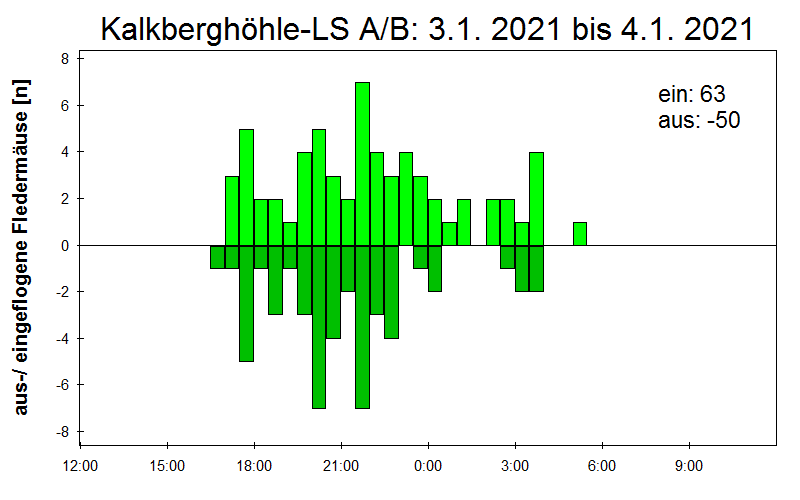 [Fledermaus] Lichtschranke: Segeberger Kalkberg (NABU Schleswig-Holstein)