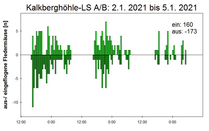 [Fledermaus] Lichtschranke: Segeberger Kalkberg (NABU Schleswig-Holstein)