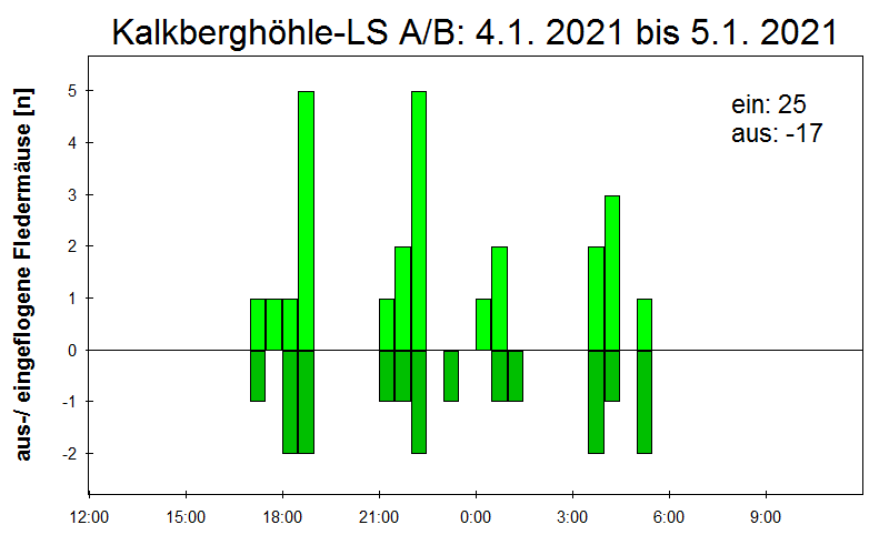 [Fledermaus] Lichtschranke: Segeberger Kalkberg (NABU Schleswig-Holstein)