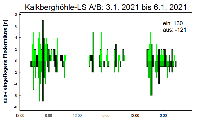 [Fledermaus] Lichtschranke: Segeberger Kalkberg (NABU Schleswig-Holstein)