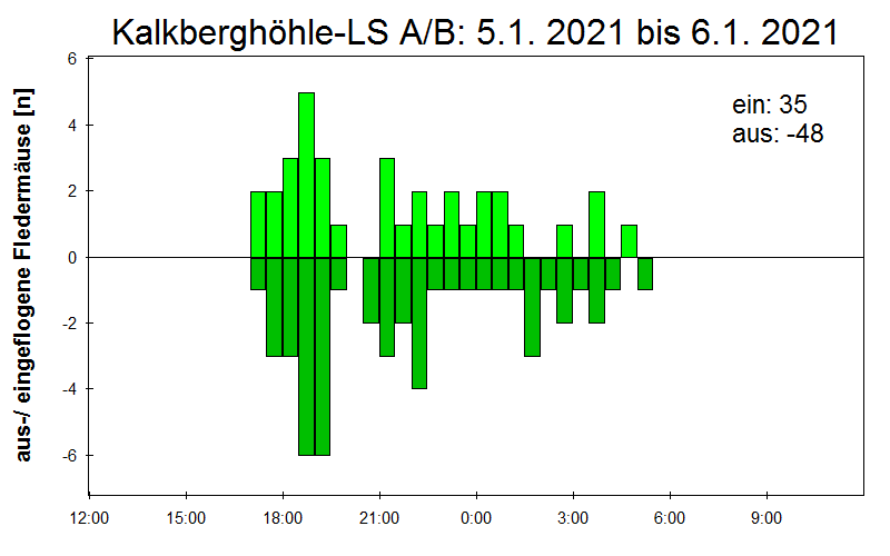 [Fledermaus] Lichtschranke: Segeberger Kalkberg (NABU Schleswig-Holstein)