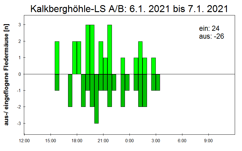 [Fledermaus] Lichtschranke: Segeberger Kalkberg (NABU Schleswig-Holstein)